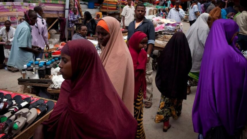 Somalia economic growth a mixed bag, says AfDB report