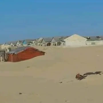 bacaad Puntland Delivers Food and Assistance to 200 Families in Dhinowda