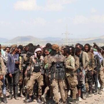 Oromia regional gov’t reports OLA fighters entering camps after peace deal; armed group rejects reports