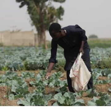 African ministers meet in Uganda to shape 10-year food security, sustainability plan