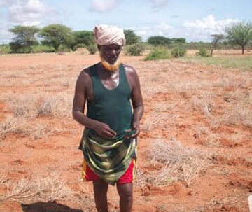 Mudug farmers pushed to despair by drought