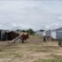 US State Department cables reveal aid cuts fuel violence in African refugee camps: Report
