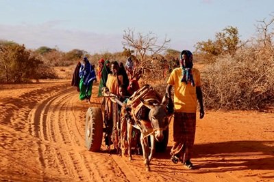 IDPs-conflict and Climate Change- Somalia Somalia’s journey of hunger