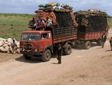 Illicit charcoal trade - Somalia World Environment Day in the Shadows of Collapse: Somalia’s Deforestation Crisis