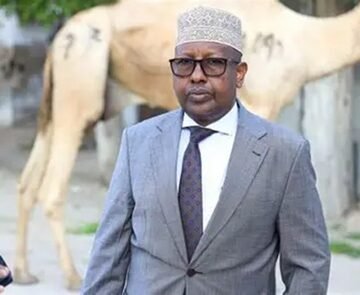 Undermining Trust: Minister Fiqi’s Loose Talk Risks Destabilizing Somalia’s Electoral Discourse 