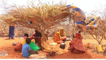 Galgaduud-IDPs camping uder tree Clan conflict over resources in Sanag leaves families displaced and bereft