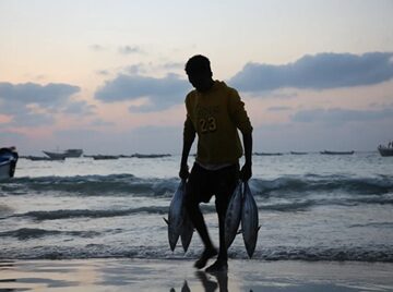 Somali fisherman- carrying fish Türkiye, Somalia to cooperate in fisheries sector