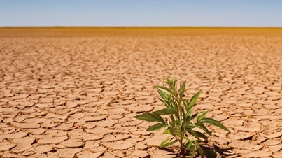 Horn of Africa- Drought conditions A million people face starvation in Somalia as funding dries up