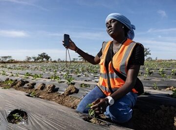 Africa-Tiktok agriculture- Nogaye Sene-a West African farmer Some West African farmers turn to TikTok as part of agriculture’s changing image