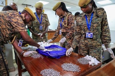 Kenya-Wildlife officers-inspect queen gardan ants Chinese man jailed for one year by Kenyan court over ant trafficking