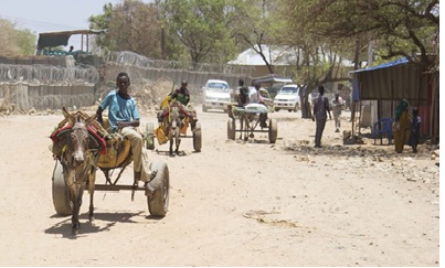 UN- agencies warn Somalia at risk of renewed famine UN agencies warn Somalia at risk of renewed famine as hunger crisis deepens