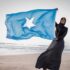 From proposal to Implementation:  The legal, institutional, and civic architecture of Somalia’s two-year technocratic transition