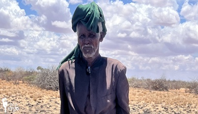 Galgaduud- nolol xumo- Qoys Cali Xasan Beeraley ku nool Galgaduud oo wajahaya nolol xumo markii gubay beero ay ku tiirsanaayeen