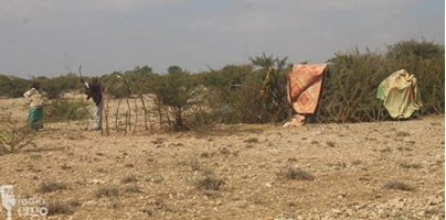 Vulnerable Mudug families left behind in drought-hit village