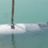 Iran Captures U.S. Underwater Drone as the Limits of Military Power Come into Focus